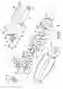 Fig. 02 - Ratchet tool having improved driving shank