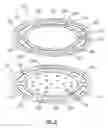 Fig. 07 - Fuel cell gas separator
