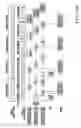 Fig. 07 - Sheet-fed offset rotary printing press