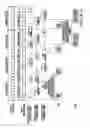 Fig. 09 - Sheet-fed offset rotary printing press