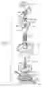 Fig. 02 - Retractable stamp