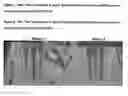 Fig. 02 - Surface functionalization of pigments and/or dyes for radiation curable ink printing and coating applications