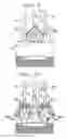 Fig. 07 - Spark ignition internal combustion engine