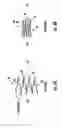 Fig. 05 - Hermetically sealed pressure balanced accumulator