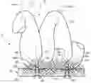Fig. 01 - Process for bonding of stitched carpets