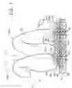 Fig. 02 - Process for bonding of stitched carpets