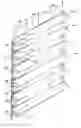 Fig. 01 - Retractable shade with collapsible vanes