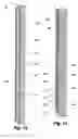 Fig. 08 - Retractable shade with collapsible vanes