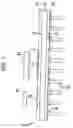 Fig. 02 - Multilayer wiring board including stacked via structure