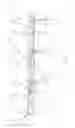 Fig. 02 - Conveyor