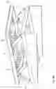 Fig. 06 - Essential oil reclaim apparatus, and method of use
