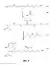 Fig. 02 - Carrier ampholytes of high pH range