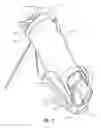 Fig. 04 - Pocket closure device