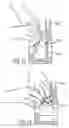 Fig. 12 - INDICIA OF REDUCED DIAPER VIEWABLE THROUGH ENCASEMENT