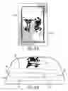 Fig. 25 - INDICIA OF REDUCED DIAPER VIEWABLE THROUGH ENCASEMENT