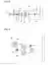 Fig. 08 - Dry etching method and photonic crystal device fabricated by use of the same