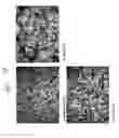Fig. 06 - Applications of friction stir welding using a superabrasive tool