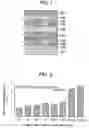 Fig. 02 - Phase change memory and phase change recording medium