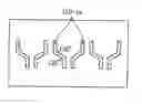 Fig. 01 - High quality nitride semiconductor thin film and method for growing the same
