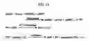 Fig. 15 - Examination apparatus for biological sample and chemical sample