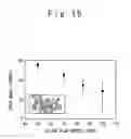 Fig. 16 - Method for forming pattern of stacked film and thin film transistor
