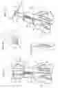 Fig. 04 - Front suspension for a motorcycle