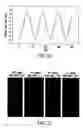 Fig. 19 - Optical scanning using vibratory diffraction gratings