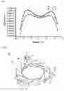 Fig. 04 - Inductively coupled plasma generator having low aspect ratio