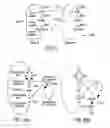 Fig. 04 - Circuits and methods for high-capacity asynchronous pipeline processing