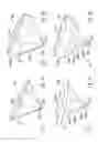 Fig. 05 - Three-dimensional omni-directional antenna designs for ultra-wideband applications
