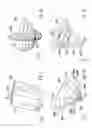 Fig. 07 - Three-dimensional omni-directional antenna designs for ultra-wideband applications