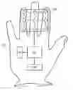 Fig. 01 - Portable put-on keyboard glove