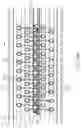 Fig. 33 - System for priming a pagewidth printhead cartridge