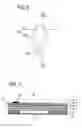 Fig. 07 - Method for producing inkjet head and inkjet head