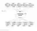 Fig. 01 - System and method for capturing and viewing stereoscopic panoramic images