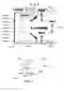 Fig. 05 - System and method for capturing and viewing stereoscopic panoramic images