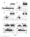 Fig. 40 - Liquid crystal display device and manufacturing method therefor