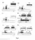 Fig. 77 - Liquid crystal display device and manufacturing method therefor