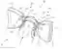 Fig. 01 - Spectacle set with weldingless bridge