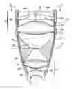 Fig. 01 - Lens for producing stereoscopic images