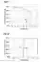 Fig. 07 - Imaging lens