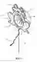 Fig. 02 - Decorative lighting device with windmill