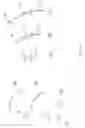 Fig. 11 - Luminaire reflector