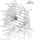 Fig. 13 - Luminaire reflector
