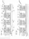Fig. 04 - Soft-reference four conductor magnetic memory storage device