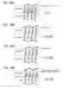 Fig. 19 - Non-volatile semiconductor memory device