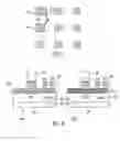 Fig. 08 - Optimized media grain packing fraction for bit patterned magnetic recording media