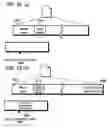 Fig. 50 - Data recording method, data recording device, data recording medium, data reproduction method, and data reproduction device