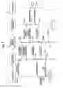 Fig. 04 - Circuit control apparatus and method