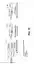 Fig. 19 - Method and system for frame relay and ethernet service interworking